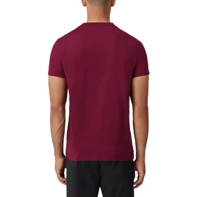 Burberry FW22 T