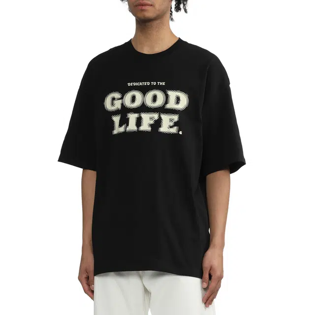 Carhartt WIP Mist T-Shirt logoT