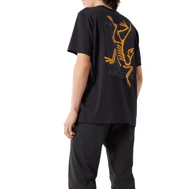 Arcteryx T