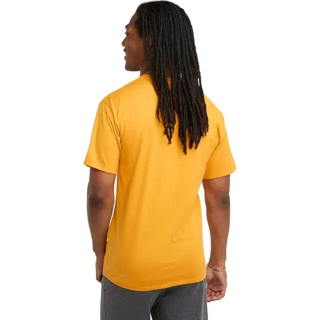Champion T 2