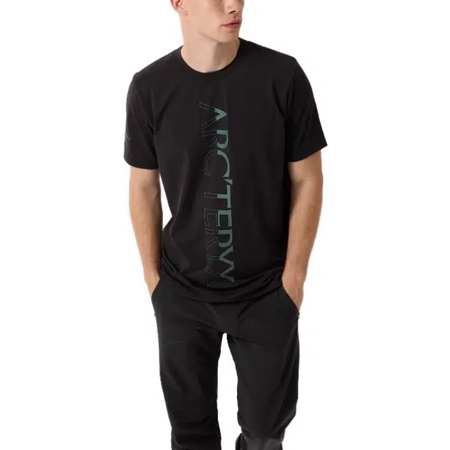 Arcteryx Captive Captive Downword T