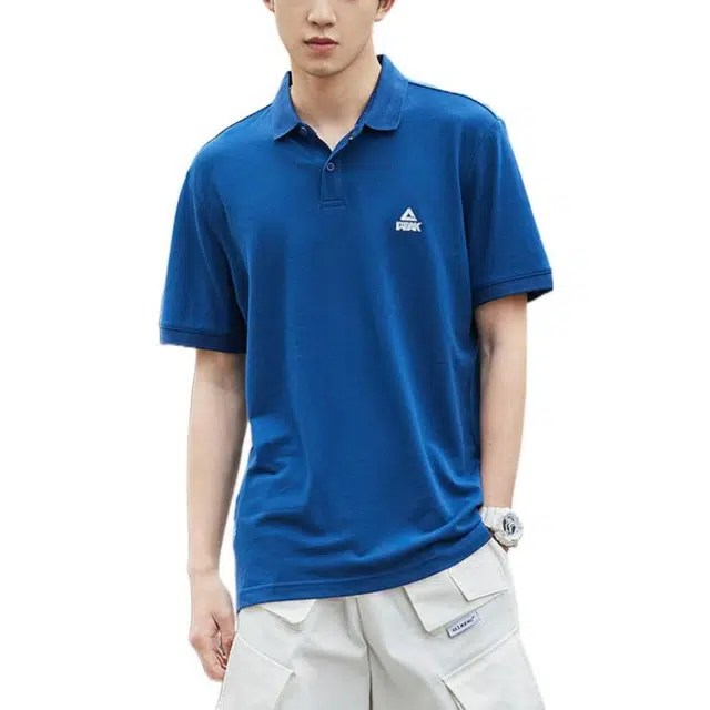 LogoPolo