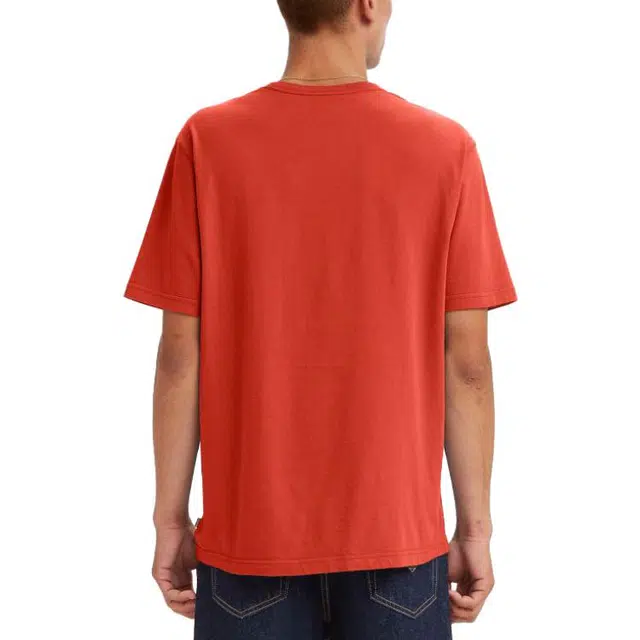 Levis T