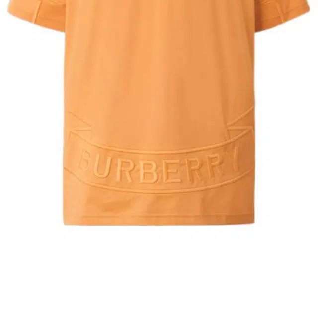 Burberry FW22 LogoT