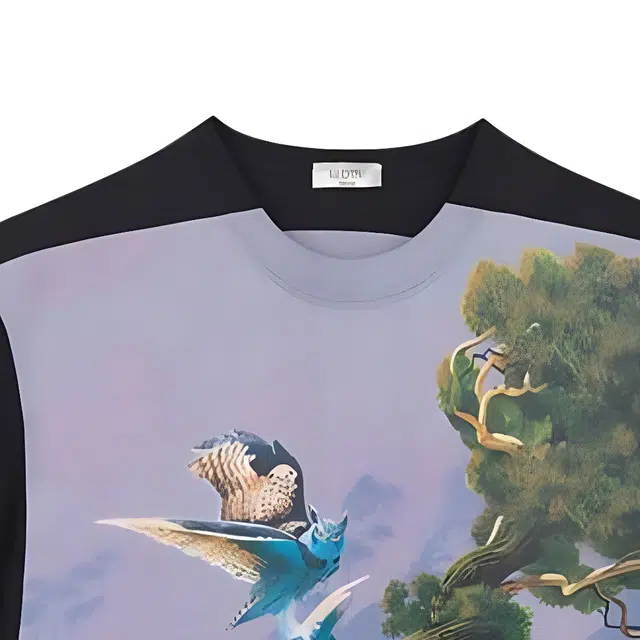 Valentino T