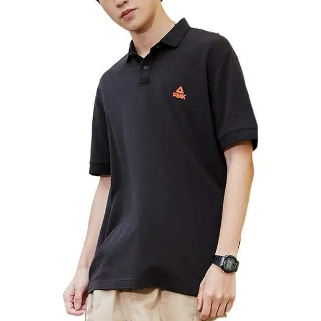 LogoPolo