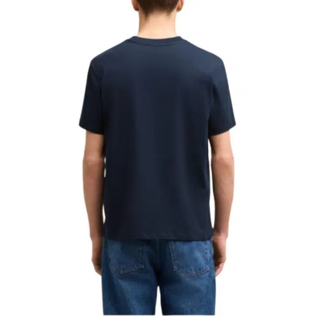AMIPARIS T