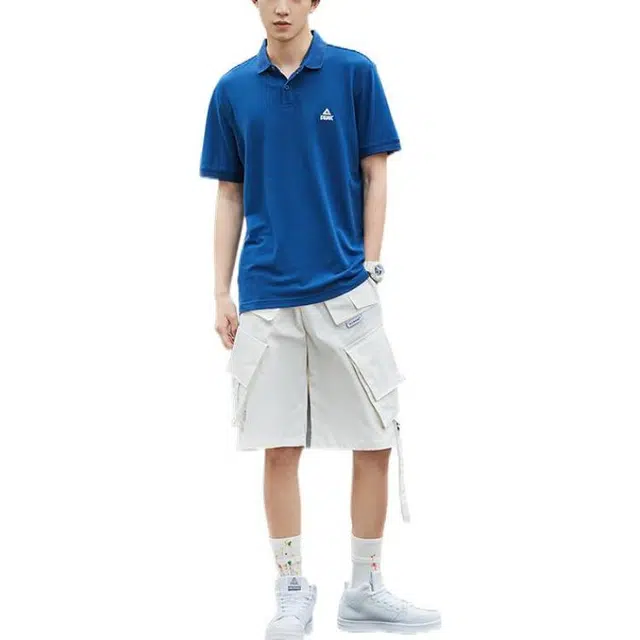 LogoPolo