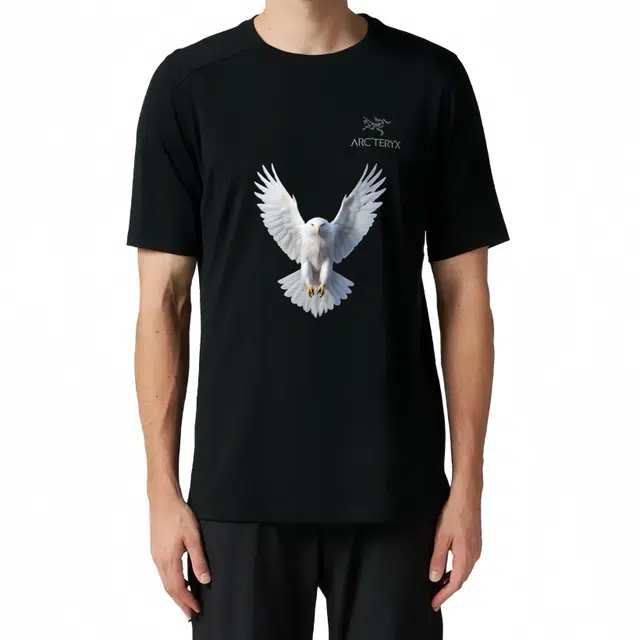 Arcteryx T