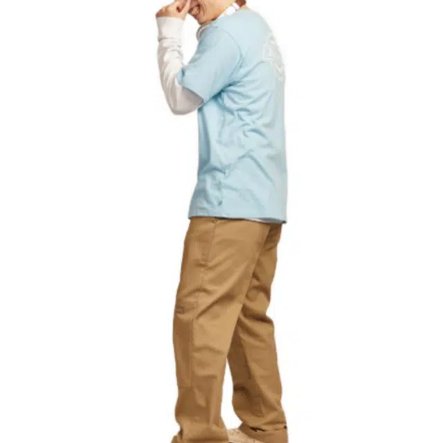 Dickies LogoT