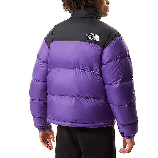 THE NORTH FACE 1996 Retro Nuptse 700