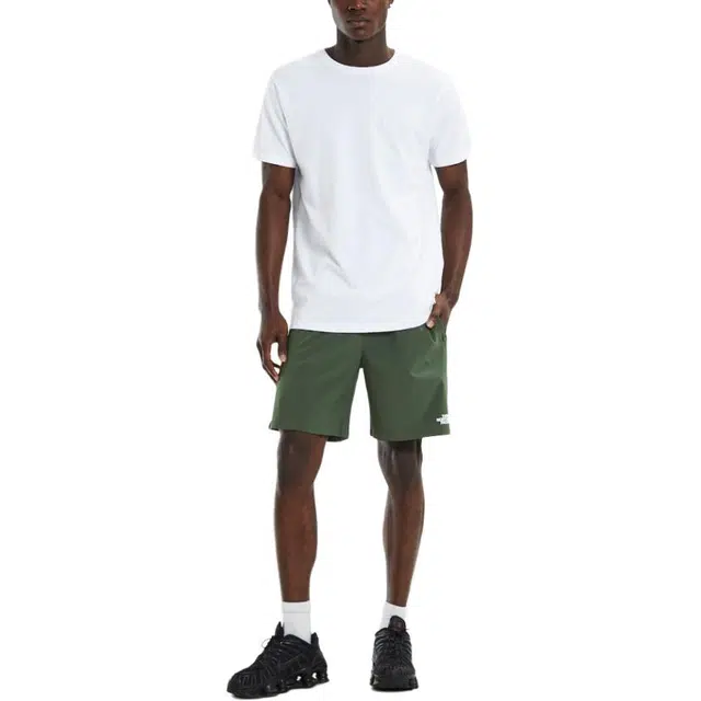 THE NORTH FACE Wander Shorts Thyme Green logo