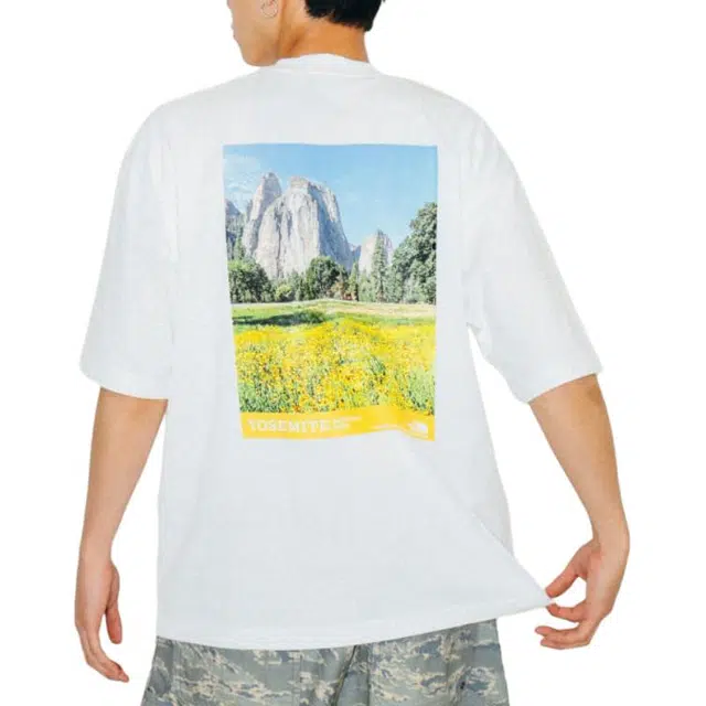 beams T