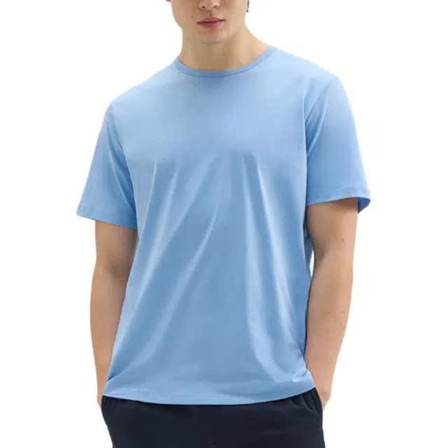 THEORY T