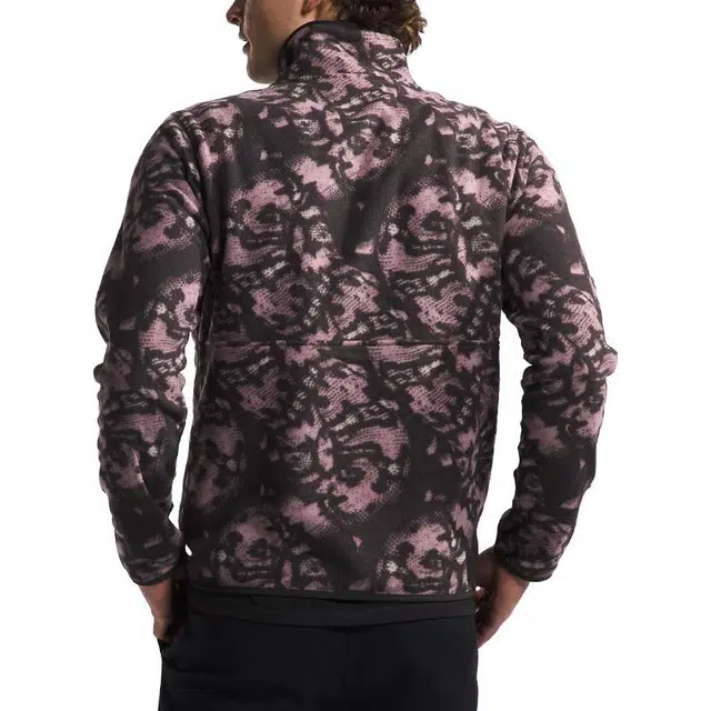 THE NORTH FACE Alpine Polartec