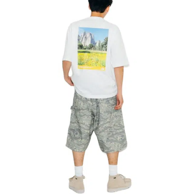 beams T