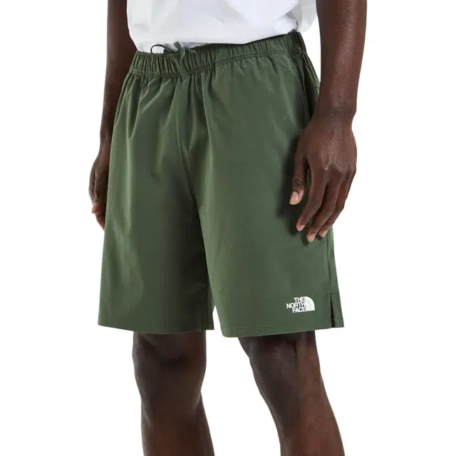 THE NORTH FACE Wander Shorts Thyme Green logo