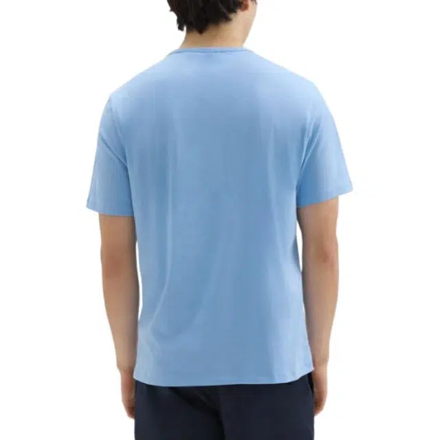 THEORY T