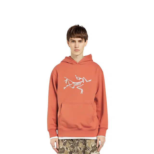 Arcteryx x PALACE Logo