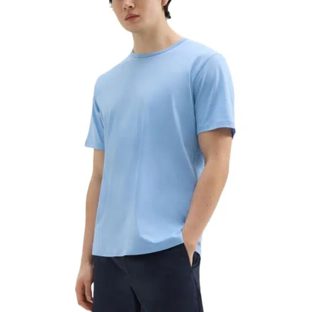 THEORY T