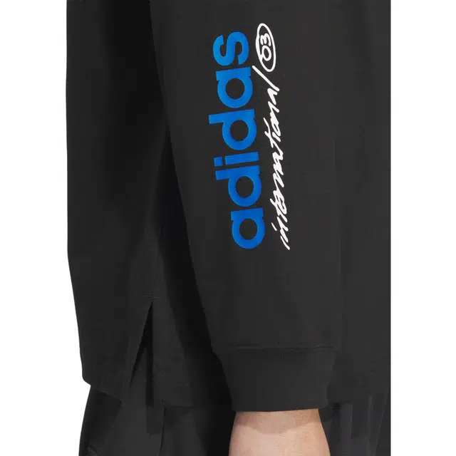 adidas originals CITY SKATE LONG SLEEVE T