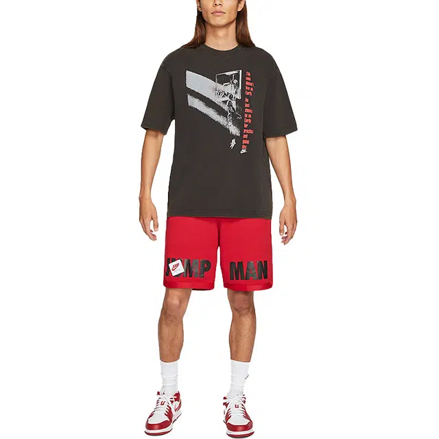 Jordan Flight T