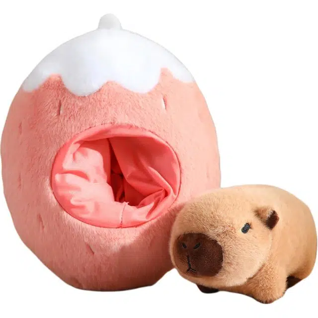 20cm30cm