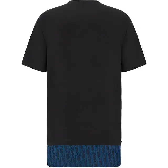 DIOR DIOR T