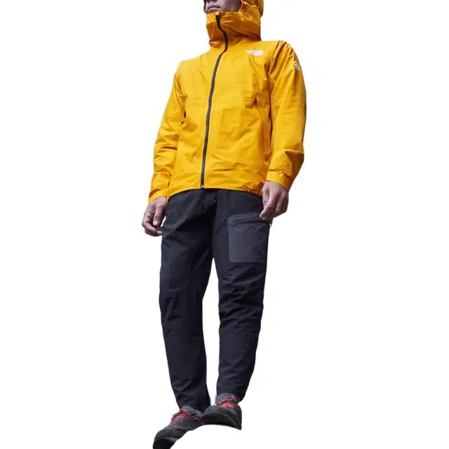 THE NORTH FACE Papsura Logo