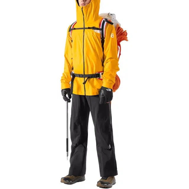 THE NORTH FACE Papsura Logo