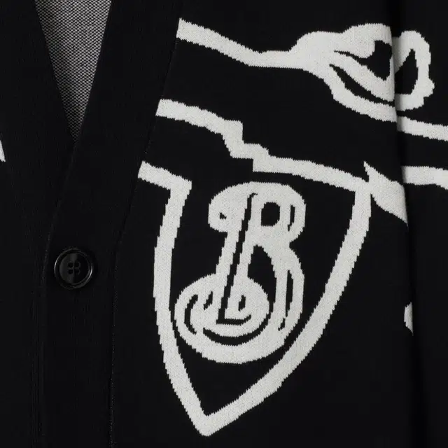 Burberry FW24 V