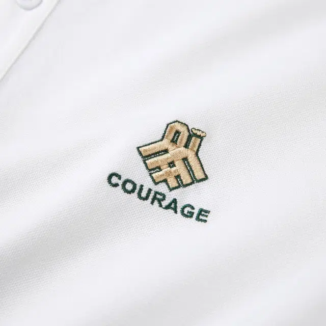 HLA POLO