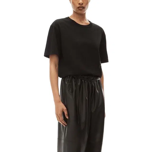 alexander wang FW23 T