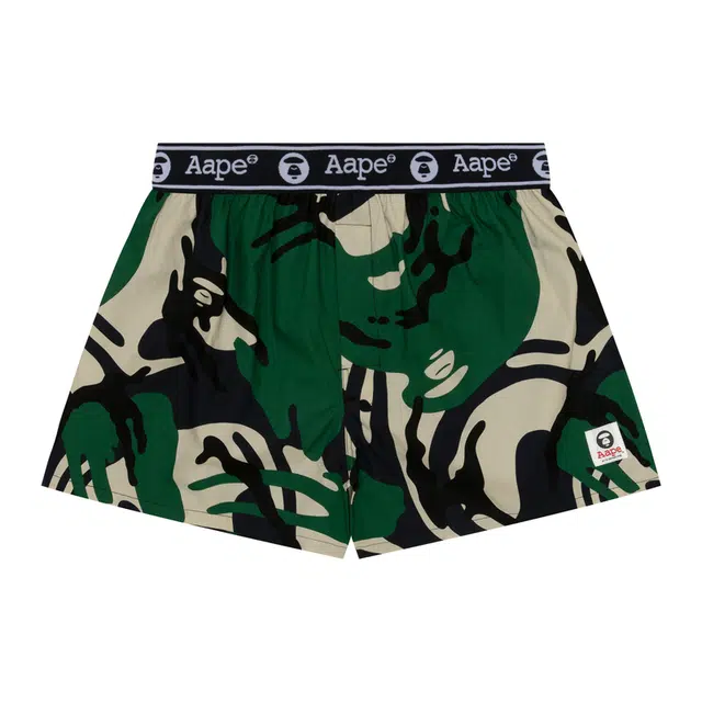 Aape 1