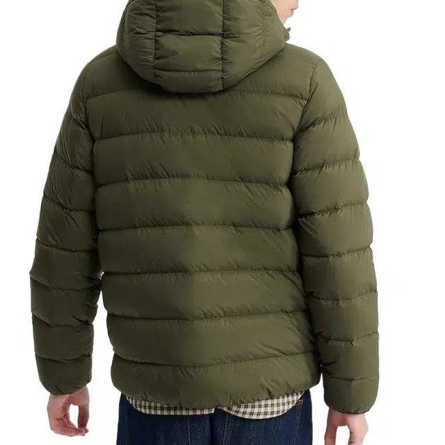 AIGLE
