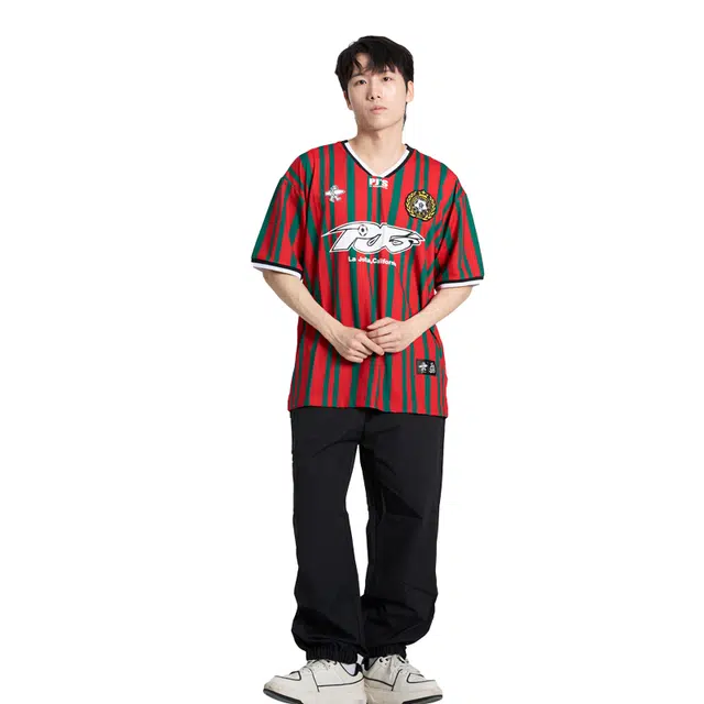 PJ's Vigor vT