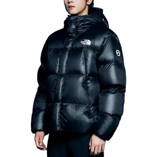 THE NORTH FACE FW23 Eco BARUNTSE DOWN Logo