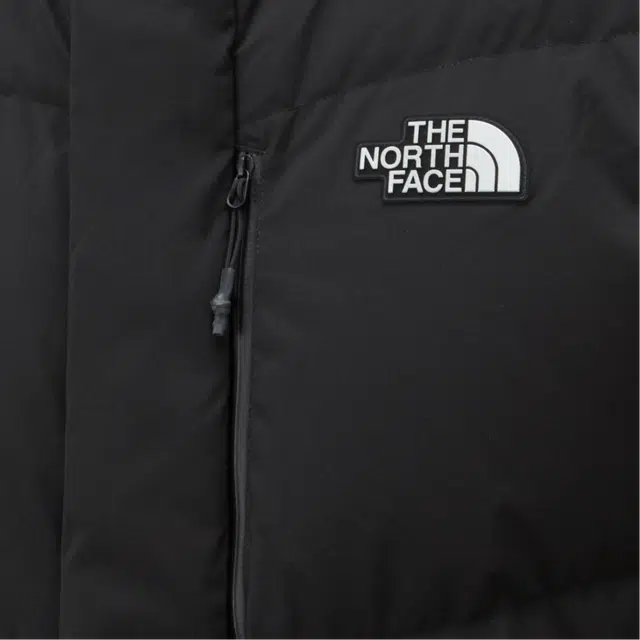 THE NORTH FACE M'S ASPEN TECH DOWN COAT Dryven