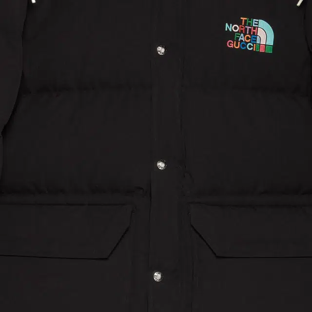 GUCCI x THE NORTH FACE FW22 Down Jacket Black