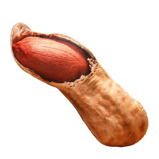 涩购 坚果开心果杏仁逼真花生核桃 创意萌趣 玩偶周边