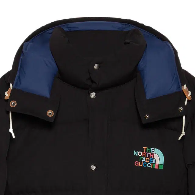 GUCCI x THE NORTH FACE FW22 Down Jacket Black