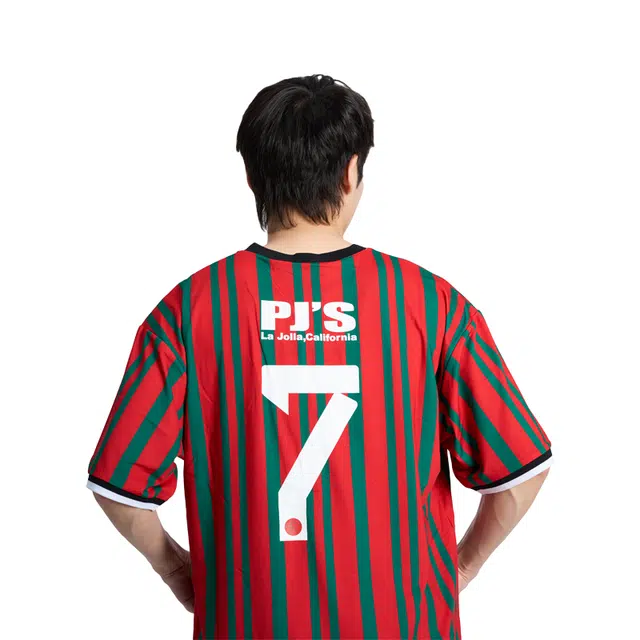 PJ's Vigor vT