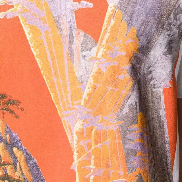Valentino x Roger Dean T