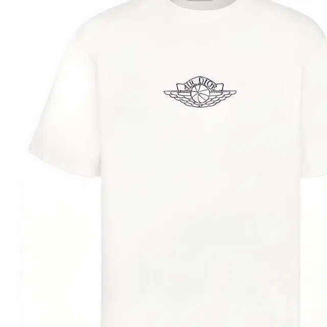 DIOR x jordan T