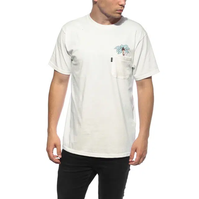 RIPNDIP T