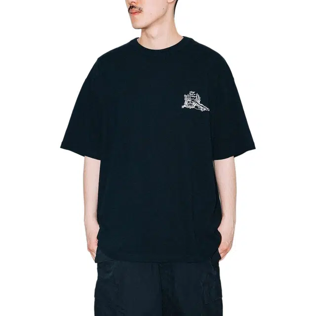 beams T