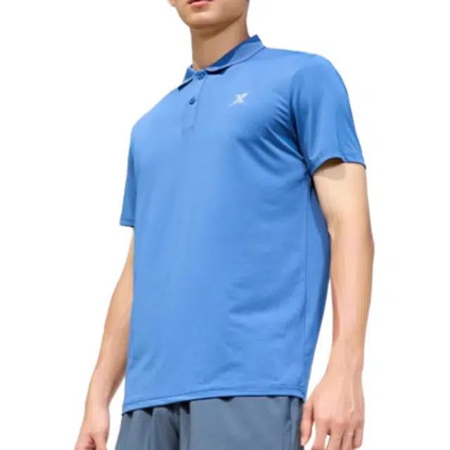 LogoPolo
