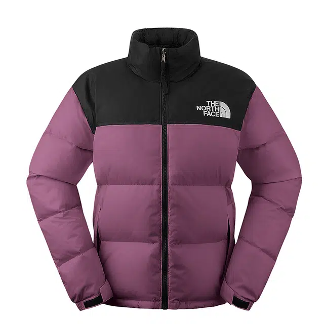 THE NORTH FACE 1996 FW24 logo