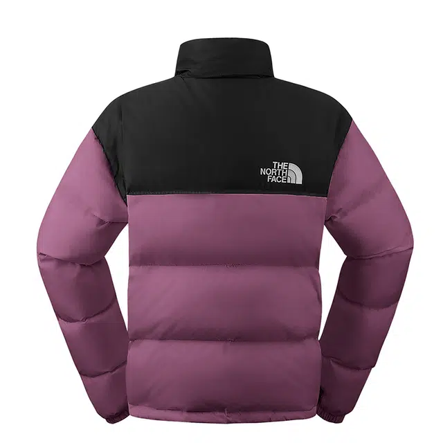 THE NORTH FACE 1996 FW24 logo