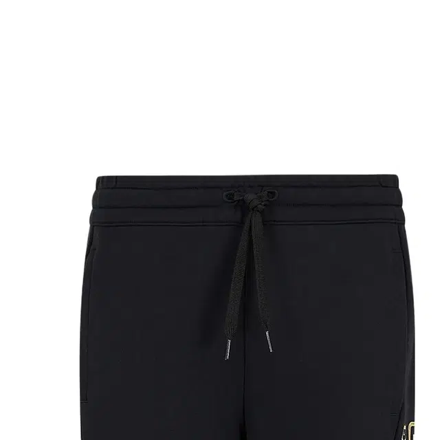 EMPORIO ARMANI EA7 FW23 Logo